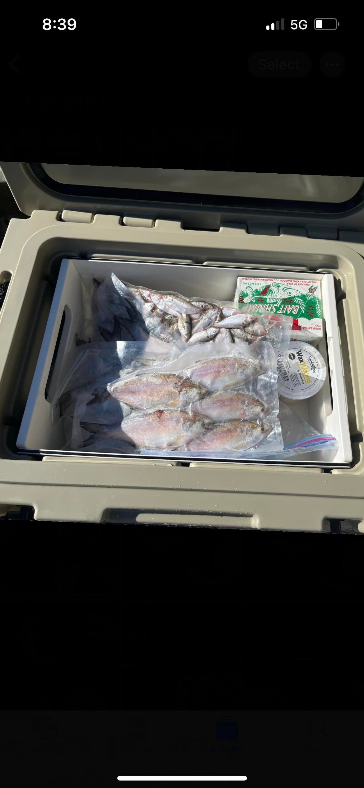 bait boy bait tray, keep bait fresh longer-fits inside cooler-fatfish designz-large-loaded