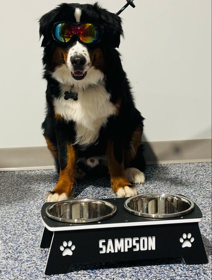 Dog Bowl Holder